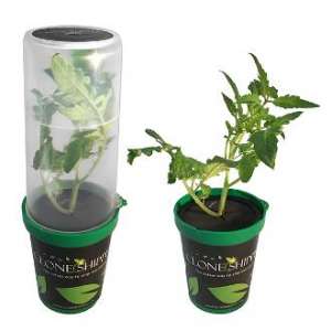 Keep your plants safe in transit!